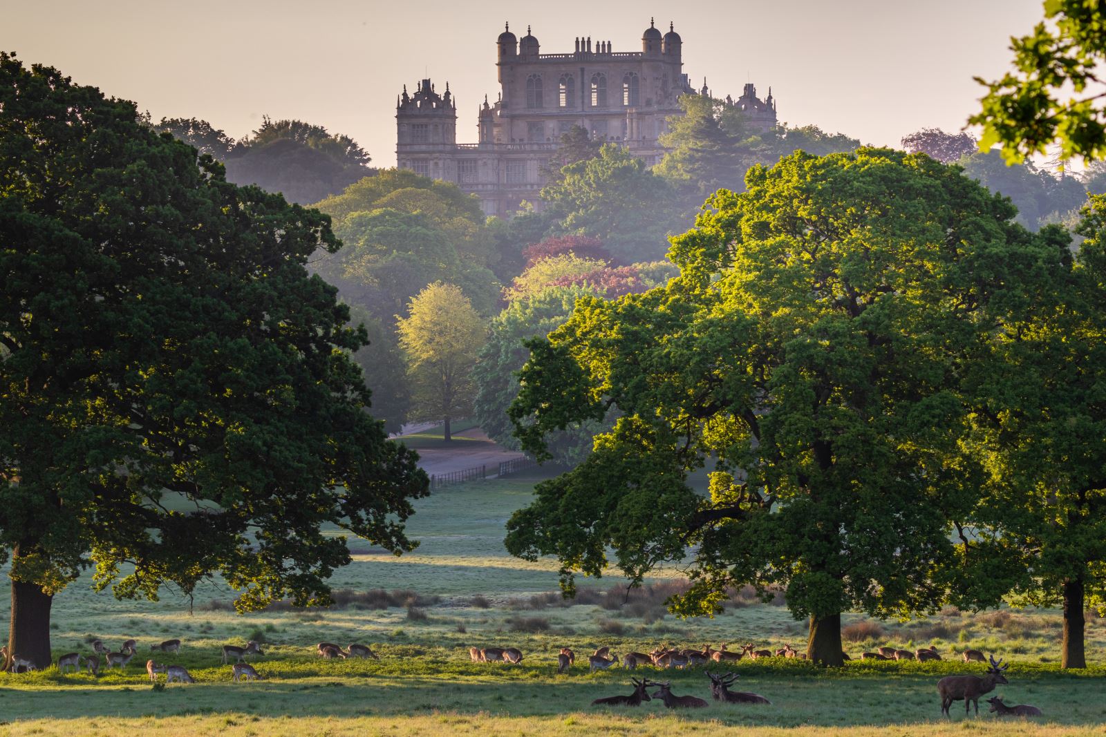 Wollaton Hall by Chris Denning